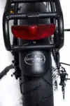 ביג-דוג-אקסטרים-EXTREME-גריין-ביק-10-e1619004598840.b197b0